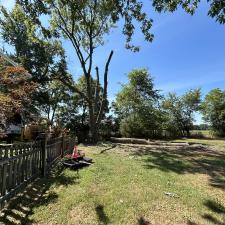 Tree-Removal-and-Sawmill-Services-project-in-Sudlersville-MD 16